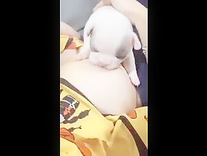 sesso con animali dogtube