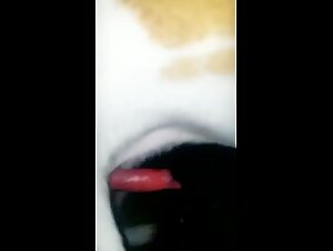 African Shepherd gets a blowjob from her slutty Latina lover