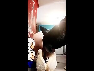 Animal Sex Extreme: slut Kisses Her Dog on XvideosZoo