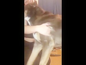 fearless teenage girl part 1