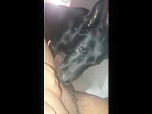 offer of treats