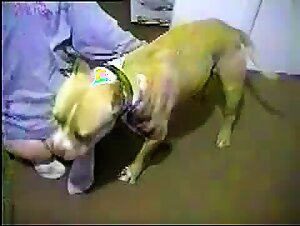 Hot Girl Fucks Her Dog for an Extreme Erotic Experience