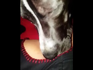Extreme Animal Sex Tapes: The Best Collection for Hot Sex Fans