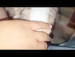 canine beastality art