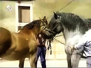 beastiality movies fap