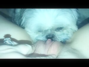 sucking dog animal porn