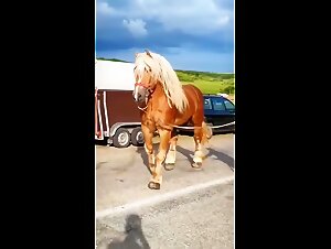  A Video That Will Make You Melt