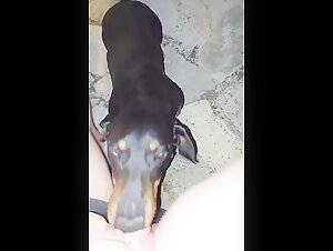 bestiality videos zoo beeg