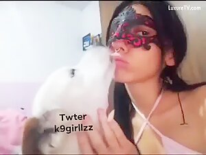 animaltube videos