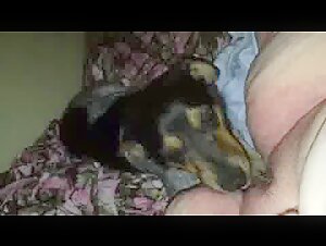 sexzoo dog sex with girl
