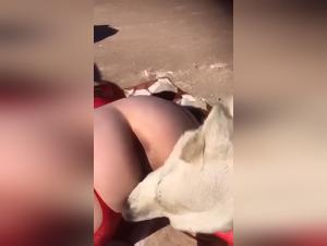 Sex with dogs and women
