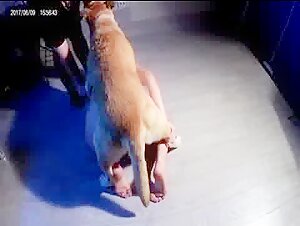 intimate moment with a dog