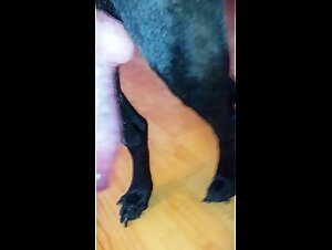 Stories of Dog Fucking, Pussy Sucking Dogs, Women Who Fuck Their Dogs or Men Who Suck Their Dick