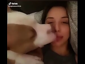 Satisfying Desires:  Animal Porn Reality