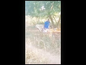 xzoo beastality beastie gals